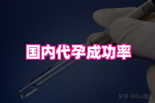 江苏助孕网 2