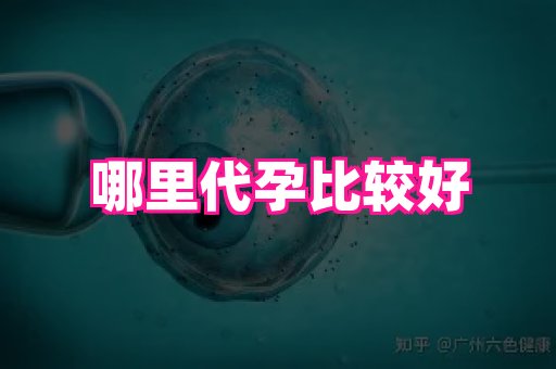 江苏助孕网 4